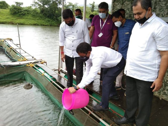 [:en]Fortunate to inaugurate first cage culture project at Morbe Panvel set up by Mr Sanjay Yadavrao and Virendra Bamne with the help of Konkan Business Forum. Shri Avinash Koli, Uttar Raigad BJP Sanghatan Sarchitnis was present. Best wishes for the Project.[:hi]श्री. संजय यादवराव व श्री. वीरेंद्र बामणे यांनी ग्लोबल कोकण, कोकण बिझनेस फोरमच्या माध्यमातून उभा केलेला मोरबे येथील कोकणातला पहिला केज कल्चर (पिंजऱ्यातील मत्स्यपालन)चा प्रकल्पाचे उदघाटन करण्याचा आज योग आला. यावेळी उत्तर रायगड भाजपा संघटन सरचिटणीस अविनाश कोळी उपस्थित होते. या प्रकल्पाच्या उज्वल भवितव्यासाठी अनेक शुभेच्छा![:] 1
